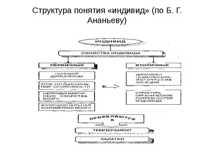 Презентація, доповідь на тему людина як особистість