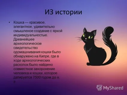 Презентація на тему моє домашня тварина