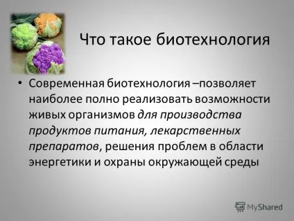 Презентація на тему біотехнологія (презентація) Презентація на тему біотехнологія