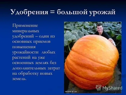 Презентація на тему мінеральні добрива (мінеральні добрива. Шкода чи користь) Презентація на тему мінеральні добрива