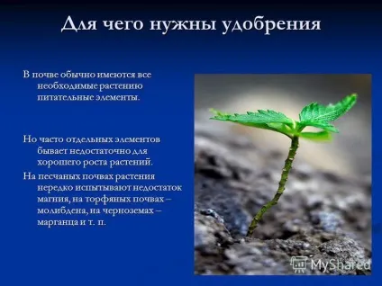 Презентація на тему мінеральні добрива (мінеральні добрива мінеральні добрива хімічні (неорганічні) речовини) Презентація на тему мінеральні добрива