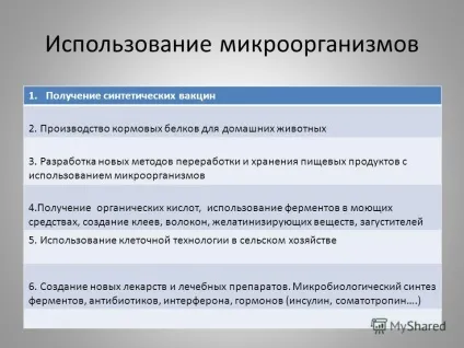 Презентація на тему біотехнологія (презентація) Презентація на тему біотехнологія