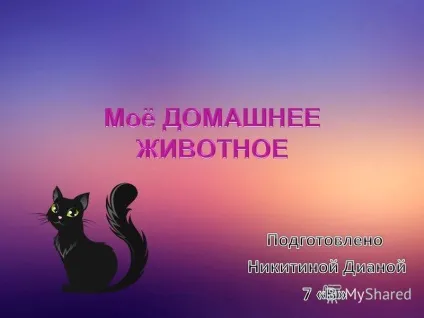 Презентація на тему моє домашня тварина