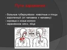 Презентація - туберкульоз вУкаіни