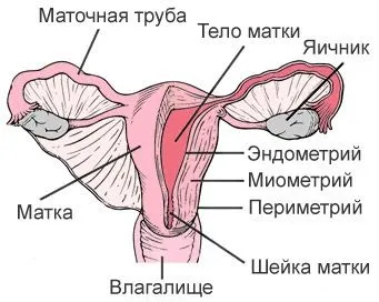 Причини раку шийки матки