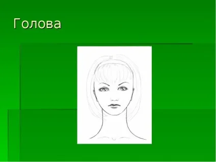 Презентація по темі малюємо людини (презентація безкоштовно) Презентація по темі малюємо людини