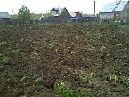 Прийшла весна або як не треба орати - блог про вирощування врожаю на дачі (прийшла) Прийшла весна або як не треба орати - блог про вирощування врожаю на дачі