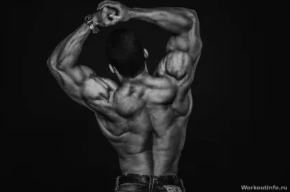 Програма для нарощування м'язової маси на турніку і брусах - street workout - тренування з (набір маси на турніку) Програма для нарощування м'язової маси на турніку і брусах - street workout - тренування з