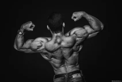 Програма для нарощування м'язової маси на турніку і брусах - street workout - тренування з (турніку) Програма для нарощування м'язової маси на турніку і брусах - street workout - тренування з
