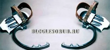 Робота арбористи небезпечних дерев, лісоруб