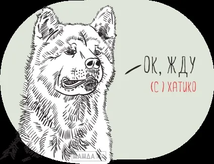 Розрахунковий рахунок для ип для чого потрібен, відкриття рс, обслуговування (чого) Розрахунковий рахунок для ип для чого потрібен, відкриття рс, обслуговування