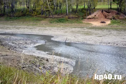 Райони калуги бушмановка - тихе життя на тлі психушки - суспільство - новини - калузький (калуги) Райони калуги бушмановка - тихе життя на тлі психушки - суспільство - новини - калузький