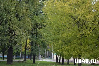 Райони калуги бушмановка - тихе життя на тлі психушки - суспільство - новини - калузький (калуги) Райони калуги бушмановка - тихе життя на тлі психушки - суспільство - новини - калузький