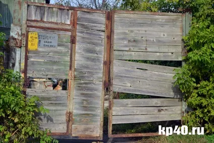 Райони калуги бушмановка - тихе життя на тлі психушки - суспільство - новини - калузький (бушмановка) Райони калуги бушмановка - тихе життя на тлі психушки - суспільство - новини - калузький