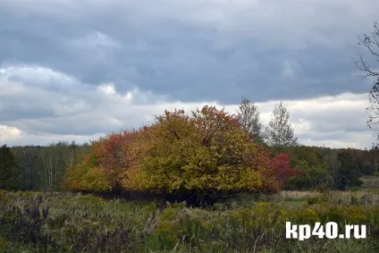 Райони калуги бушмановка - тихе життя на тлі психушки - суспільство - новини - калузький (калуги) Райони калуги бушмановка - тихе життя на тлі психушки - суспільство - новини - калузький