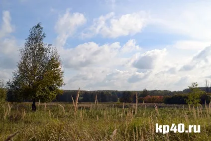 Райони калуги бушмановка - тихе життя на тлі психушки - суспільство - новини - калузький (бушмановка) Райони калуги бушмановка - тихе життя на тлі психушки - суспільство - новини - калузький