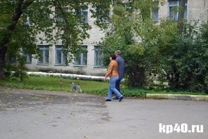 Райони калуги бушмановка - тихе життя на тлі психушки - суспільство - новини - калузький (бушмановка) Райони калуги бушмановка - тихе життя на тлі психушки - суспільство - новини - калузький