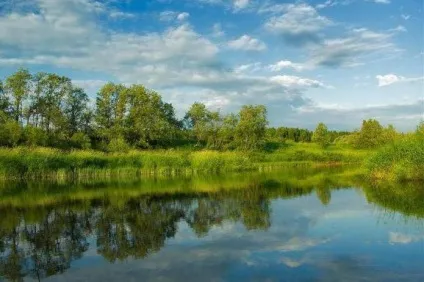 Річка Шоша в товариський області опис, фото, ідеї для відпочинку (області) Річка Шоша в товариський області опис, фото, ідеї для відпочинку
