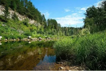 Річка Шоша в товариський області опис, фото, ідеї для відпочинку (товариський) Річка Шоша в товариський області опис, фото, ідеї для відпочинку
