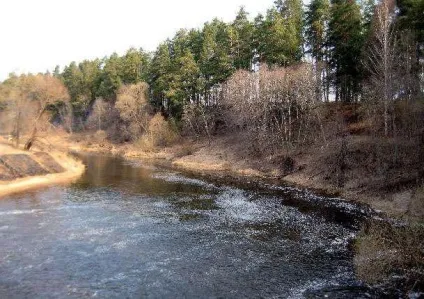 Річка Шоша в товариський області опис, фото, ідеї для відпочинку (товариський) Річка Шоша в товариський області опис, фото, ідеї для відпочинку