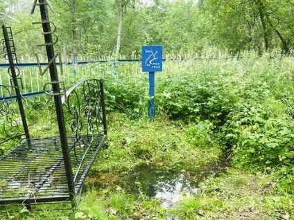Річка урал 1