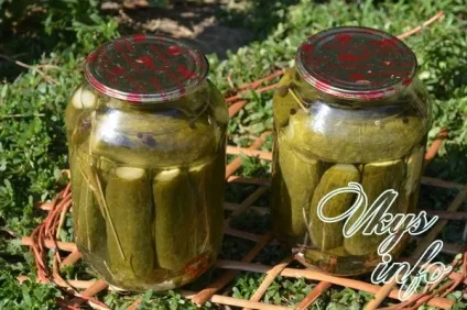 Рецепт хрустких огірків на зиму в банках 3 покрокових рецепта з фото (часник) Рецепт хрустких огірків на зиму в банках 3 покрокових рецепта з фото