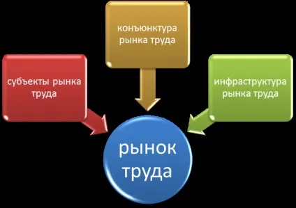 Ринок праці сутність, зміст, структура - студопедія (методичка) Ринок праці сутність, зміст, структура - студопедія