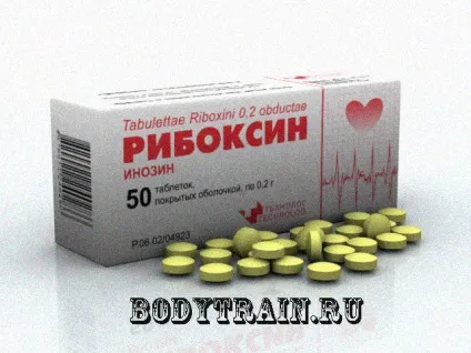 Рибоксин в бодібілдингу, як і з чим застосовувати (застосовувати) Рибоксин в бодібілдингу, як і з чим застосовувати