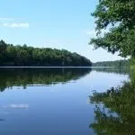 Російська хохуля (50 фото) опис, цікаві факти про тварину, де живе, який загін, червона (живе) Російська хохуля (50 фото) опис, цікаві факти про тварину, де живе, який загін, червона