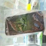 Рубрика, пропаганда наркотиків