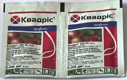 Різоктоніоз картоплі заходи боротьби і профілактики, збудник (ризоктоніоз картоплі) Різоктоніоз картоплі заходи боротьби і профілактики, збудник
