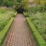 Садовий бордюр (35 фото) особливості пластикових, бетонних, декоративних виробів, каменів, фото і