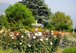 Садові скульптури 50 фото красивих скульптур для саду (скульптур) Садові скульптури 50 фото красивих скульптур для саду