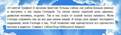 Найсильніша молитва великомученику Кіпріану (Кіпріану) Найсильніша молитва великомученику Кіпріану