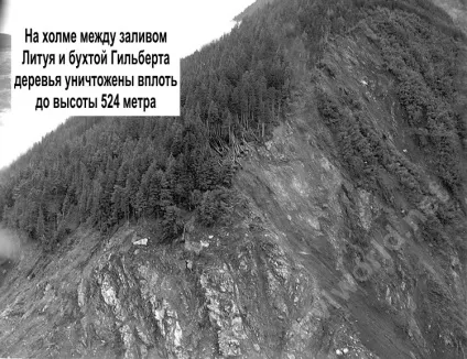 Найвища хвиля цунамі за всю історію - новини в фотографіях