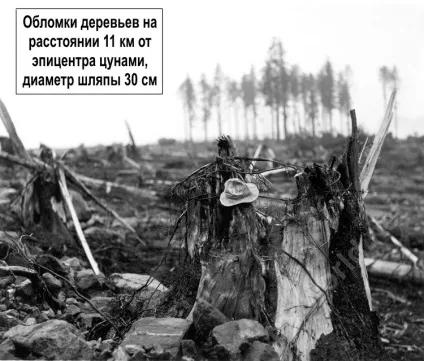 Найвища хвиля цунамі за всю історію - новини в фотографіях