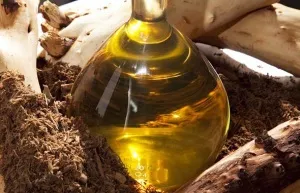 Сандалове масло для волосся застосування, відгуки про ефективність (сандалове) Сандалове масло для волосся застосування, відгуки про ефективність