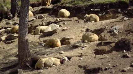Щастя в ваших руках, важливо не упустити можливість (важливо) Щастя в ваших руках, важливо не упустити можливість