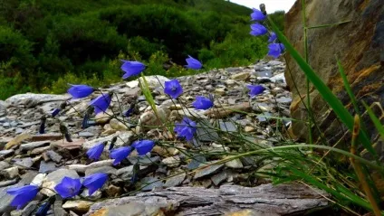 Щастя в ваших руках, важливо не упустити можливість (щастя в ваших руках) Щастя в ваших руках, важливо не упустити можливість