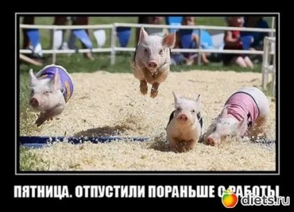 Саш, а чому ти весь час злишся і кричиш на мене!