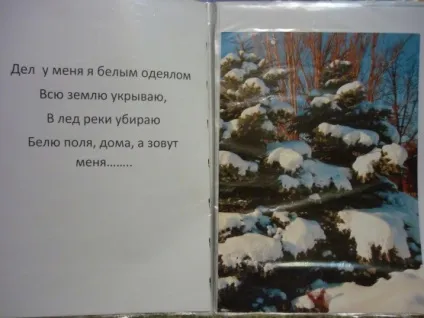 Саморобна книга «загадки зимового двору» (повна вища освіта) Саморобна книга «загадки зимового двору»