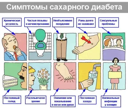 Цукрова хвороба види, причини, симптоми, лікування, харчування і дієти (симптоми) Цукрова хвороба види, причини, симптоми, лікування, харчування і дієти