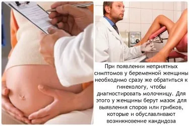 5 Методів лікування молочниці в домашніх умовах у жінок (молочниці) 5 Методів лікування молочниці в домашніх умовах у жінок