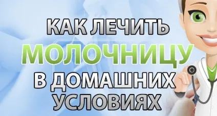 5 Методів лікування молочниці в домашніх умовах у жінок (молочниці) 5 Методів лікування молочниці в домашніх умовах у жінок