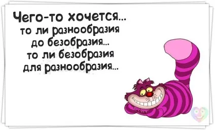 4 Речі отримати нові враження, що б поліпшити сімейні відносини! Жіночий клуб «шоколадне (відносини) 4 Речі отримати нові враження, що б поліпшити сімейні відносини! Жіночий клуб «шоколадне
