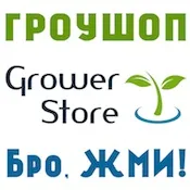 Насіння конопель, їх властивості та різновиди