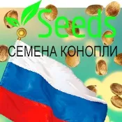 Насіння конопель, їх властивості та різновиди