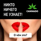 Насіння конопель, їх властивості та різновиди