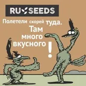 Насіння конопель, їх властивості та різновиди