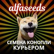 Насіння конопель, їх властивості та різновиди